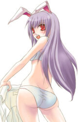 animal_ear bra bunny_ear kemonomimi lingerie long_hair panties purple_hair reisen_udongein_inaba solo touhou underwear usamimi yumyy_iura