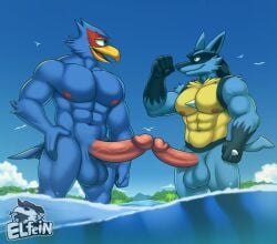 absurd_res anthro avian beach beak bird blue_body canid canine duo elfein erection falco_lombardi flexing_bicep frottage gay generation_4_pokemon genitals gull hi_res kissing lari larid lucario male male_only mammal muscular muscular_male nintendo penis penis_kissing pokemon pokemon_(species) sea seaside sex spines star_fox water