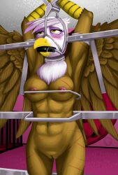 abs anthro avian bondage bondage_furniture bound female friendship_is_magic genitals gilda_(mlp) gryphon hasbro hi_res muscular my_little_pony mythological_avian mythology nipples pussy quakehoof solo whip_mark