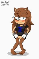 blush breasts cassi_symone_(thegreatgreninja) half-closed_eyes lifting_shirt no_humans original_character pussy showing_pussy sonic_(series) sonic_oc sonic_the_hedgehog_(series) thegreatgreninja vagina