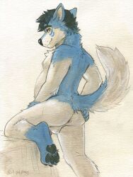 anthro anus ass canid canine canis chubby_male domestic_dog hi_res husky hybrid looking_at_viewer looking_back male male_only mammal nordic_sled_dog paws raised_tail rear_view sicklyhypnos slightly_chubby solo spitz spread_butt spreading tail wintie wolf