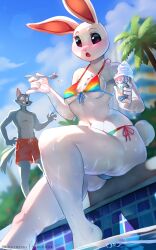 1boy 1girls 2021 anthro artist_name beastars belly_button bikini black_nose blue_body blue_sky blush breast bunny_ears bunny_tail bushes clouds eyebrows eyelashes feet_in_water female furry furry_female furry_male furry_only grey_body haru_(beastars) holding_ice_cream ice_cream lagomorph lagomorph_humanoid legoshi_(beastars) looking_at_partner male mammal mammal_humanoid open_mouth palm_tree panties patreon patreon_logo patreon_username pool pussy_visible_through_clothes rabbit rabbit_humanoid sitting skeleion sky small_breasts spoon sprinkles suprised swimming_pool swimming_trunks swimwear tagme tail tail_wagging tree underboob water white_body white_sclera