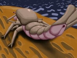 4:3 animal_genitalia antennae_(anatomy) arthropod ass beach cloaca crab crustacean decapoda detailed_background digital_media_(artwork) female feral genitals hi_res looking_at_viewer malacostracan marine metro_(series) metro_2033 monster mutants nude outside presenting presenting_cloaca presenting_hindquarters sand seaside shrimp solo tail water worldeaterart