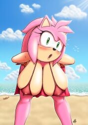 amy_rose anthro beach big_breasts bikini blush female_only green_eyes hanging_breasts huge_breasts looking_at_viewer ocean pink_hair sonic_(series) thewand609