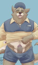 anthro belly brazil canid canine canis chubby_anthro chubby_belly chubby_male clothing delivery_(commerce) domestic_dog eyebrows genitals hi_res mail_uniform male male_only mammal ordinarysstar penis postal_delivery raised_eyebrow slightly_chubby solo solo_male uniform