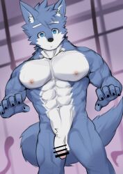 abs anthro asleepchef biceps blue_body blue_eyes blue_fur canid canine canis domestic_dog flaccid fur genitals hair hi_res hybrid male mammal multicolored_body multicolored_fur muscular muscular_anthro muscular_male nipples nude pecs penis solo standing tail two_tone_body two_tone_fur wolf yakumo_(asleepchef)