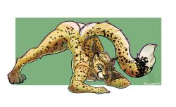 absurd_res anthro cheetah felid feline hi_res jack-o'_pose male male_only mammal pose selreini_(character) solo