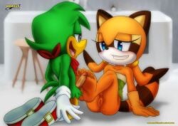 bbmbbf bean_the_dynamite footjob furry furry_only looking_at_another marine_the_raccoon mobius_unleashed palcomix sonic_(series) sonic_the_hedgehog_(series)