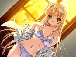 axl cg eroge game_cg koisuru_otome_to_shugo_no_tate tagme