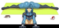 1girls 2d ai_generated animal_ears animal_humanoid anthro anthro_only big_breasts blue_fur breasts digital_media female female_only full_body furry large_breasts looking_at_viewer lucario lucario_(female) pokemon pokemon_(species) solo split splits spread_legs wheel_of_fortune_(director)