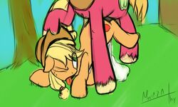 2013 applejack_(mlp) big_macintosh_(mlp) blonde_hair brother_and_sister color cowboy_hat cum cutie_mark day duo equine female feral freckles friendship_is_magic green_eyes hair hat horse incest mostazathy my_little_pony one_eye_closed orange_fur outdoors pony red_fur sex