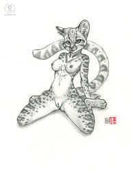 2013 4_fingers 4_toes anthro barefoot breasts feline female female_only fur furry_breasts furry_ears furry_tail greyscale kacey looking_at_viewer mammal margay monochrome navel nipples nude open_eyes pose pussy raised_tail round_ears sitting smile solo spots tail whiskers white_background