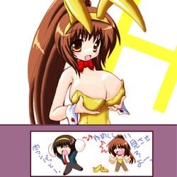 beige_skin blush bowtie breast_grab breasts brown_eyes brown_hair bunnygirl clothes color female hair human kyon kyonko long_hair looking_at_viewer open_eyes open_mouth ponytail rule_63 solo suzumiya_haruhi suzumiya_haruhi_no_yuuutsu text tied_hair translation_request