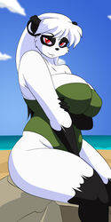 anthro big_breasts black_fur black_hair breasts cainesart chubby cloud cocoa_(las_lindas) color day edit female fur hair hi_res huge_breasts las_lindas long_hair one-piece_swimsuit open_eyes outdoors overweight panda red_eyes sea seaside sitting sky swimsuit water white_fur white_hair