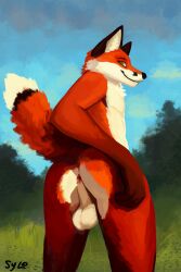 2023 absurd_res anthro anus ass balls biped canid canine digital_media_(artwork) digital_painting_(artwork) fox fur genitals hi_res looking_at_viewer looking_back male mammal nude orange_body orange_fur outside presenting presenting_anus presenting_hindquarters raised_tail rear_view red_fox smile solo sylo tail white_body white_fur