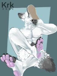 absurd_res anthro canid canine clothing dirty_feet feet foot_fetish foot_focus foot_sniffing footwear fox hi_res humanoid male male_foot_fetish male_only mammal musk musk_fetish musky_feet pawpads scent shoe_sniffing shoes sketchotterly sniffing sock_fetish socks solo worshiping