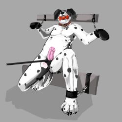 anthro ball_gag ball_tugging bodily_fluids canid canine canis clothing cock_and_ball_torture domestic_dog dripping gag genital_torture german_shepherd handwear herding_dog hi_res humanoid kodi_husky male mammal mittens pastoral_dog petplay puppyplay restrained restrained_arms restrained_legs roleplay saliva saliva_drip salivating sketchotterly solo