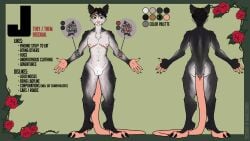 absurd_res andromorph anthro arm_tattoo black_body black_fur claws didelphid fur green_eyes hi_res intersex j male mammal maraschinoo marsupial model_sheet philosophy3008 possum scar solo split_color_hair tail tattoo white_body white_fur