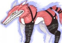 animal_genitalia anthro bandai_namco canid canine canis digimon digimon_(species) fangmon feral fully_sheathed fur genitals harness hi_res leather leather_harness leather_strap long_snout male male_only mammal phobicsnakes red_body red_fur sharp_teeth sheath snout teeth wolf