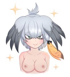 animal_humanoid anthro areola avian avian_humanoid big_breasts bird bird_humanoid blush breasts eyebrow_through_hair eyebrows eyelashes feathers female green_eyes grey_body grey_feathers grey_hair hair hair_between_eyes hi_res humanoid kemono_friends light-skinned_female light_body light_skin looking_at_viewer nipples pelecaniform pelecaniform_humanoid shoebill_(kemono_friends) shoebill_humanoid simple_background solo tanatos_aaa translucent translucent_hair white_background