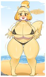 1girls 5_fingers animal_crossing anthro anthro_only aroused ass_visible_through_thighs beach big_breasts bikini black_bikini black_eyes black_nose blush blush_lines blushing_at_viewer breasts canine cleavage curvy detailed_background dialogue domestic_dog english_text female female_anthro female_only fluffy_tail front_view full_body fur furry furry_female furry_only heart hearts hearts_around_body hearts_around_head hi_res horny huge_breasts isabelle_(animal_crossing) mammal micro_bikini mouth_open navel nintendo ocean open_mouth open_smile outdoors shih_tzu skimpy skimpy_bikini sky smile smiling solo speech_bubble standing startop swimsuit tail talking_to_viewer text thick_thighs thigh_gap white_border wide_hips yellow_body yellow_fur