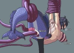 1girls ahoge anal anal_insertion anal_sex animated armpits arms_above_head arms_up asphyxiation belt black_hair blue_fin blue_fins blue_scales blush blush_lines bondage breast_squeeze breasts breath breath_cloud bumpy_penis bumpy_tentacle bumpy_tentacles choked_by_tentacle choking clitoral_stimulation color colored commission commission_art commissioner_upload crtimesnsfw cum cum_in_ass cum_in_pussy cum_inside cumflated_belly cumflation double_creampie double_penetration dripping dripping_pussy fair-skinned_female fair_skin female female_focus fins functionally_nude functionally_nude_female grope groping groping_breasts inguinal_ligament juicy_pussy large_breasts leaking leaking_cum light_skin loincloth long_hair looking_back looking_pleasured mermaid mermaid_ears mermaid_girl mermaid_tail midriff milking milking_tentacles monster_girl murmaider navel onomatopoeia pink_loincloth pixel_animation pixel_art plain_background purple_tentacle purple_tentacles red_eyes restrained shawl shlick spilling_out steamy steamy_breath sucking_clitoris suspended_double_penetration suspended_in_midair suspended_via_tentacles tentacle tentacle_around_breasts tentacle_around_neck tentacle_around_tail tentacle_asphyxiation tentacle_bondage tentacle_choke tentacle_dp tentacle_penetration tentacle_rape tentacle_sex tentacle_sucking_clitoris text twin_drills twitch twitch.tv vagina vaginal_insertion vaginal_juices vaginal_penetration vaginal_sex virtual_youtuber vtuber wet_pussy