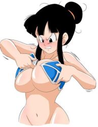 chichi chichi's_armor dragon_ball tagme