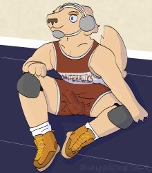 absurd_res anthro athletic bulge canid canine canis clothed clothing detailed_bulge domestic_dog erection erection_under_clothing fighting_ring footwear fur headgear hi_res jude_(wannabeyourdog2) knee_pads male male_only mammal muscular on_ground pecs shoes sitting smile sneakers socks solo sport sportswear story story_in_description tail text wannabeyourdog2 wrestling wrestling_singlet
