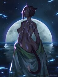 ass bare_back bare_shoulders breasts catgirl female female misami night night_sky standing_in_water tail water