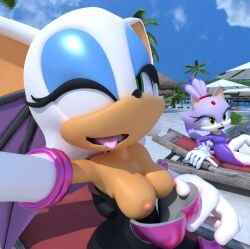 anthro bat blaze_the_cat domestic_cat duo felid feline felis female flashing flashing_breasts hundredseas mammal public public_exposure rouge_the_bat sega selfie solo_focus sonic_(series) sonic_the_hedgehog_(series)