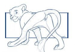 2013 anthro anus feline female feral furry lion lioness looking_at_viewer looking_back presenting pussy sketch solo spread_legs spreading tuke