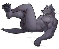 2023 anthro areola ass balls blaidd_(elden_ring) canid canine canis elden_ring fromsoftware fur genitals grey_body grey_fur hi_res jrjresq looking_at_viewer lying male male_only mammal muscular muscular_anthro muscular_male nude on_back pawpads scar solo wolf