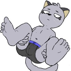 1boy 2022 5_fingers 5_toes anthro bulge domestic_cat feet felid feline felis fingers fur grey_body grey_fur hajime_tanaka_(odd_taxi) half-closed_eyes hi_res holding_both_legs holding_own_legs looking_at_self lying male male_only mammal narrowed_eyes navel nekotanyanneko odd_taxi on_back presenting serious simple_background solo spread_legs spreading tail toes white_background