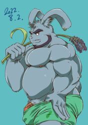 1boy abs animal_ears aqua_background bara beard biceps big_belly boxers bulge chinese_zodiac dated facial_hair finger_under_clothes from_side furry furry_male ganson green_male_underwear grey_fur half-erect large_pectorals looking_at_viewer male_focus male_pubic_hair male_underwear mature_male muscular muscular_male navel navel_hair nipples original pectorals penis penis_peek plump pubic_hair rabbit_boy rabbit_ears rabbit_tail seductive_smile short_hair smile smirk solo stomach tail thick_eyebrows topless_male underwear v-shaped_eyebrows veins veiny_penis year_of_the_rabbit