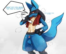 animal_genitalia anthro balls blue_body blue_fur blush bodily_fluids english_text fermusieboir4 fur generation_4_pokemon genitals hi_res lucario male nintendo open_mouth pokemon pokemon_(species) red_eyes sheath simple_background solo sweat tail text typo