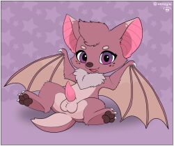 alpha_channel animal_genitalia anus balls bat border feral fruit_slice_(yurusa) fur genitals hi_res lying male mammal membrane_(anatomy) membranous_wings on_back pawpads paws penis pink_body pink_fur presenting purple_eyes sheath solo transparent_border wings xenoyia_(artist)