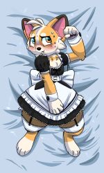 anthro anthro_only corgi corgi_(corgicam) corgicam embarrassed femboy furry furry_only in_bed maid maid_uniform male virtual_youtuber vtuber welsh_corgi