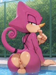 espio the chameleon from sega by side story