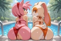 2girls ai_generated amy_rose anthro anus ass bikini bikini_aside cream_the_rabbit female hedgehog lagomorph looking_at_viewer looking_back multiple_girls poolside puffy_anus puffy_pussy pussy rabbit rodent side_story sitting_on_floor smile_at_viewer sonic_(series)
