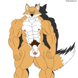 2013 abs anthro balls biceps blue_eyes canine fur looking_at_viewer male male_only maxime-jeanne muscles nipples nude pecs penis pose solo standing vein wolf