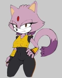 2d 2d_(artwork) 2d_artwork blaze_the_cat cat_ears cat_tail deliciouscake fingerless_gloves gem_on_forehead purple_hair sega small_breasts sonic_(series) sonic_the_hedgehog_(series) sports_bra sportswear tangle_the_lemur_(cosplay) thick_ass thick_butt thick_hips thick_thighs thin_waist tight_clothing wide_hips wide_thighs