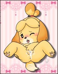 absurd_res animal_crossing anthro blush bodily_fluids canid canine canis cum digital_media_(artwork) domestic_dog female finger_fuck fingering fur genital_fluids genitals hi_res isabelle_(animal_crossing) lying mammal masturbation muffinlewds nintendo nude on_back one_eye_closed open_mouth pussy shih_tzu solo spread_legs spreading tail tongue toy_dog vaginal_penetration yellow_body