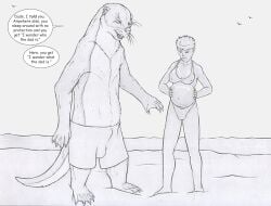 2023 ambient_bird anthro avian balls_outline beach beachcomber_(strega) belly big_belly bikini biped bird bra breasts bulge clothed clothing dialogue duo english_text female fur genital_outline greyscale hi_res human male mammal membrane_(anatomy) monochrome mustelid navel nipple_outline otter penis_outline pregnant seaside semi-anthro sheath_outline snout speech_bubble strega swimwear tail text topless underwear webbed_feet webbed_hands