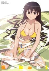 1girls absurdres azumanga_daiou bikini black_eyes black_hair breasts cleavage copyright_name female fish halterneck highres ishihama_masashi large_breasts long_hair medium_breasts official_art sakaki side-tie_bikini_bottom solo swimsuit tall_female very_long_hair yellow_bikini