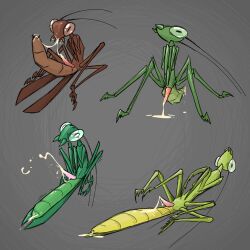 4boys arthropod brown_skin chitin comfortik cum cum_on_penis erection gray_background green_skin insect_wings insects mantis original penis shell slim solo solo_male teen unusual_anatomy unusual_penis