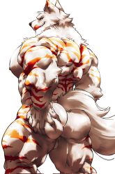 2023 abs anthro ass back_muscles big_deltoids big_pecs brown_eyes butt_grab canid canine canis fur hand_on_butt hi_res licking licking_lips light lighting looking_at_viewer looking_back male mammal muscular muscular_anthro muscular_male muscular_thighs nipples pecs red_stripes simple_background solo striped_body striped_fur stripes teseirei tongue tongue_out triceps white_background white_body white_fur wolf