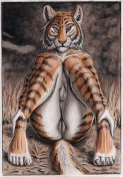 anthro black_body black_fur ears_up felid feline female fur genitals hi_res looking_at_viewer mammal no-dialogue orange_body orange_fur pantherine presenting presenting_pussy pussy sitting smile solo spread_legs spreading striped_body striped_fur stripes syntech tiger white_body white_fur