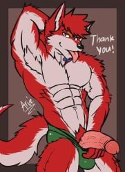 anthro clothing fur looking_at_viewer male male/male muscular muscular_male pinup pose red_body red_fur redarvie solo speedo swimwear tongue tongue_out