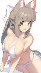 animal_ear_fluff bikini brown_eyes cat_ears cat_tail catgirl cute facing_away grey_bikini grey_hair huge_breasts looking_away looking_back open_mouth original original_character sitting sitting_on_floor yokoyama_stp