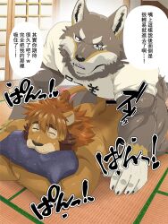 3:4 5_fingers anthro anthro_on_anthro brown_body brown_fur canid canine canis chinese_text closed_eyes clothed clothing countershade_face countershade_fur countershading duo felid fingers fur hi_res interspecies lion male male/male mammal ogami_aratsuka pantherine ross_(rossciaco) rossciaco shirt tail tail_tuft text topwear translation_request tuft wolf